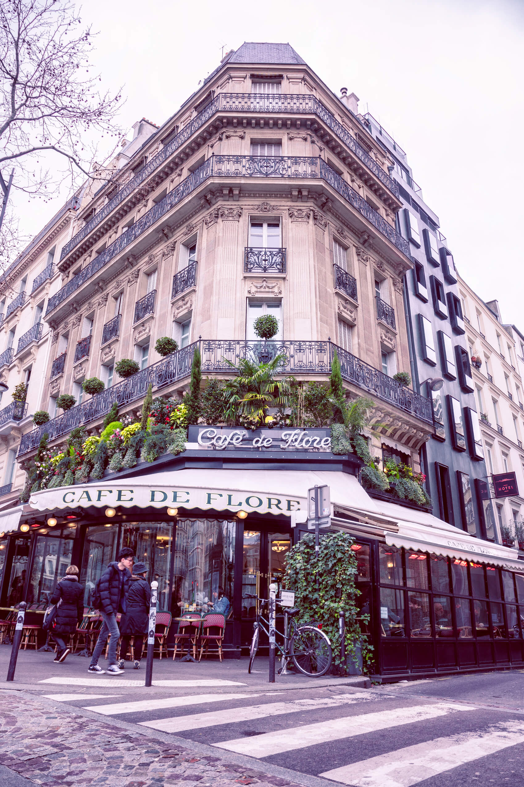 Paris Cafe de flore outside